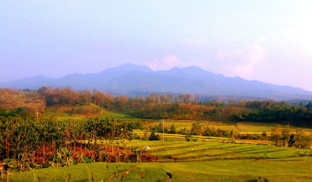 Jaringan Pariwisata Pegunungan  Baru akan Dibangun di  Jawa  